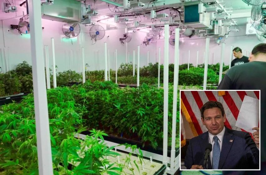  Florida’s referendum to legalize recreational marijuana falls short