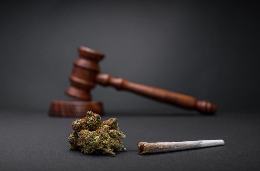  Texas AG Sues Dallas Over Marijuana Decriminalization Measure