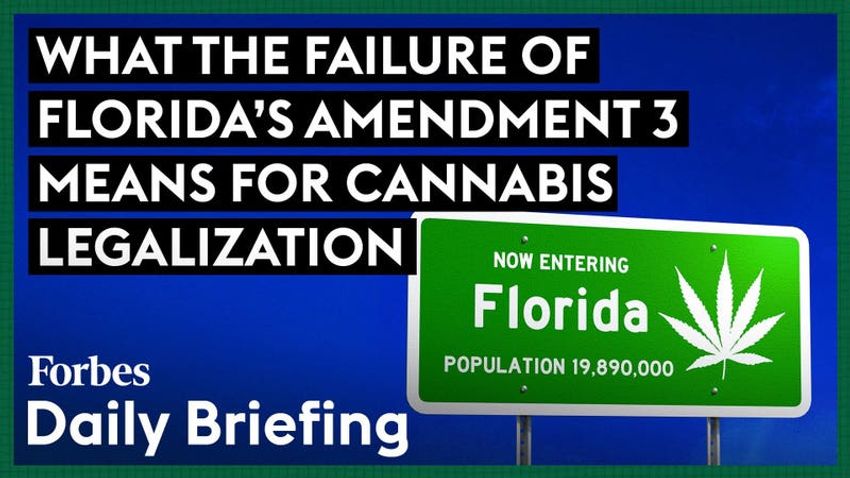  Here’s What The Failure Of Florida?s Amendment 3 Means For Cannabis Legalization