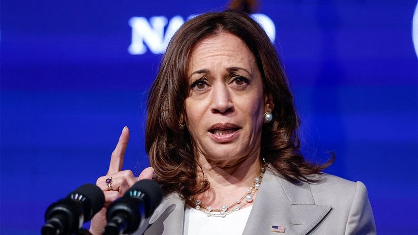  Harris campaign chair fumes about narrative she was afraid to do interviews: ‘Completely bulls–t’