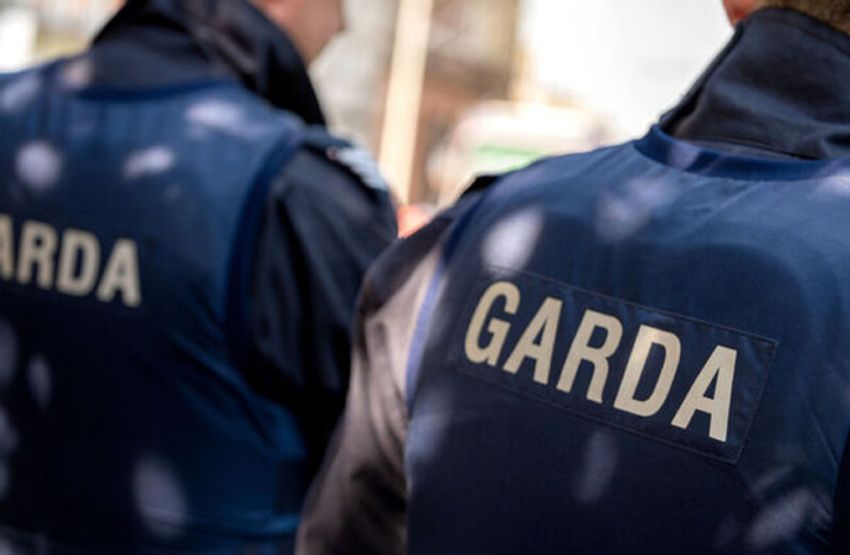  FF and FG want to get tough on crime, but the parties have some differing ideas how to do that