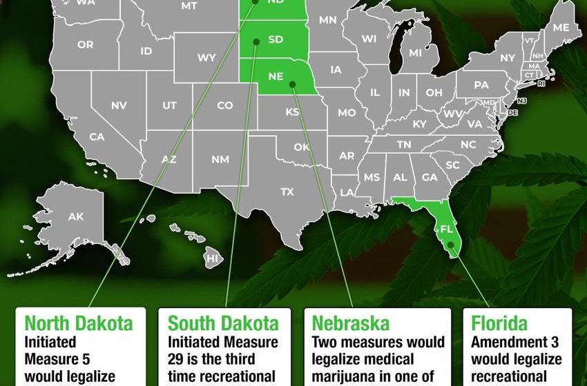  All of the states that could legalize weed on Election Day 2024