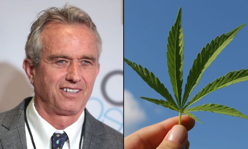  RFK Jr. Could Advance Marijuana And Psychedelics Reform Agenda As Trump’s Top Health Official