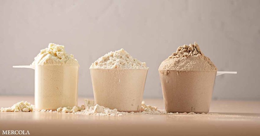  Protein Powders: A Complete Guide for Better Health