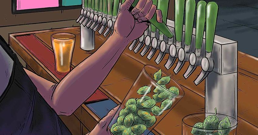  NYC Cannabis Stores Don’t Have a Lot in Common With Wine Bars and Brewpubs — Yet