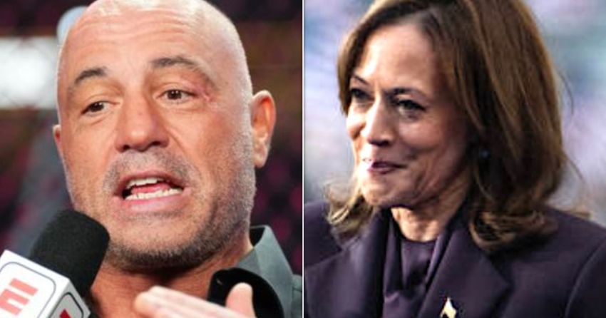  Joe Rogan Says Harris Campaign Had ‘Hilarious’ Off-Limits Interview Subject