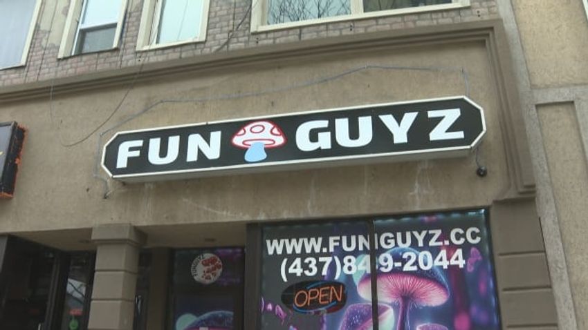  Windsor FunGuyz, illegal magic mushroom shop, closing its doors