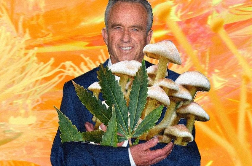  RFK Jr will cut prescription drugs and increase weed and psychedelics access