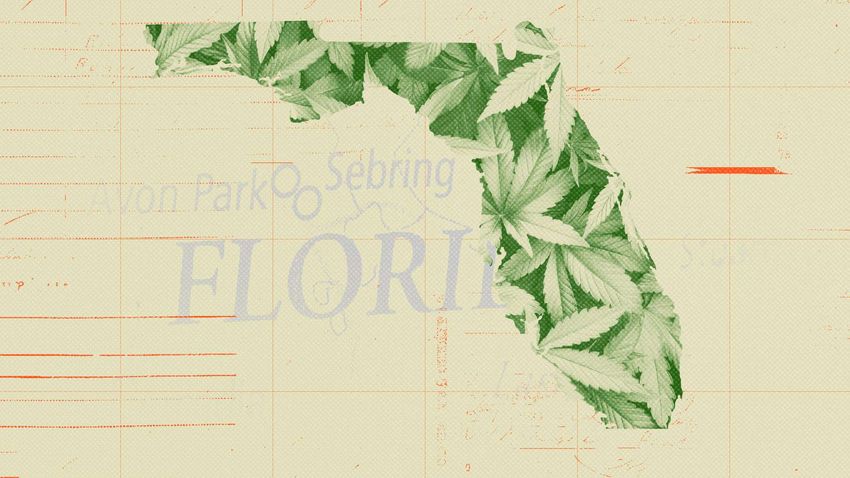  Florida’s Marijuana Legalization Initiative Fails To Pass