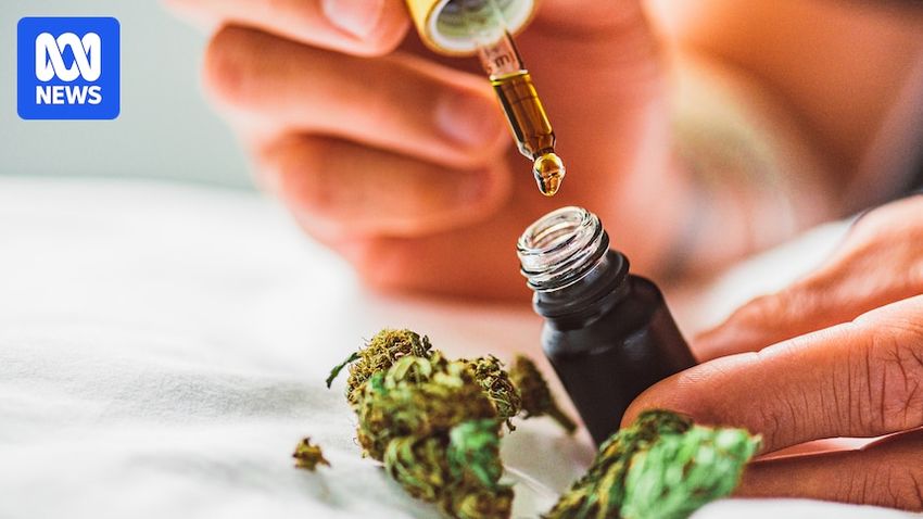  Nearly a million Australians have used medicinal marijuana since it became legal. But is it allowed at work?