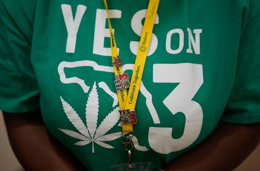  Canna-Miss: Effort To Legalize Recreational Marijuana in Florida Defeated at the Polls, Despite Support From Trump