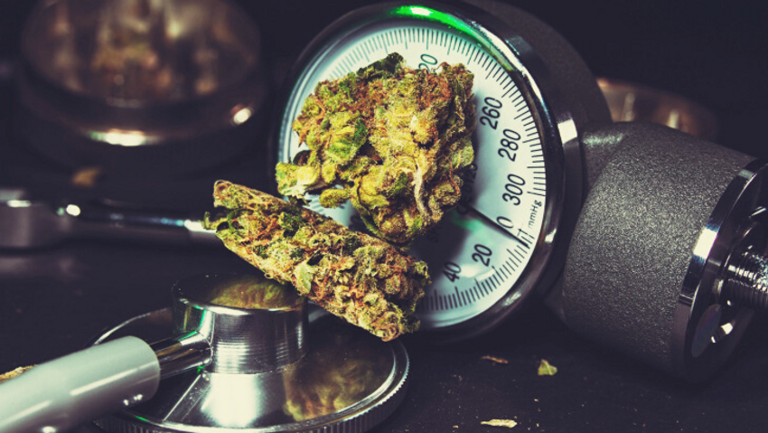  Analysis: Lifetime Cannabis Use Not Associated With Elevated Risk of Hypertension