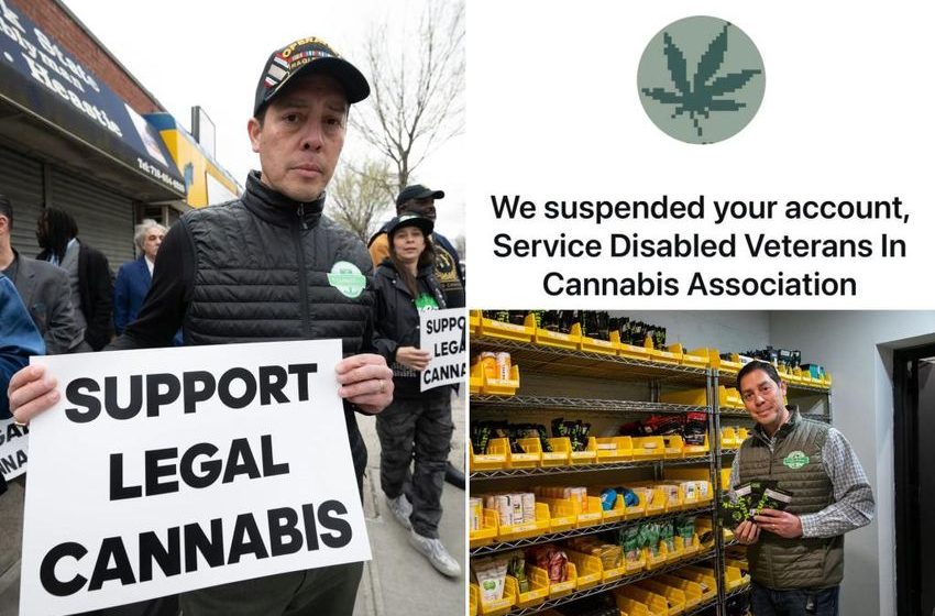  Pro-marijuana veterans group claims it was suddenly suspended from Instagram with ‘no explanation’ in act of censorship