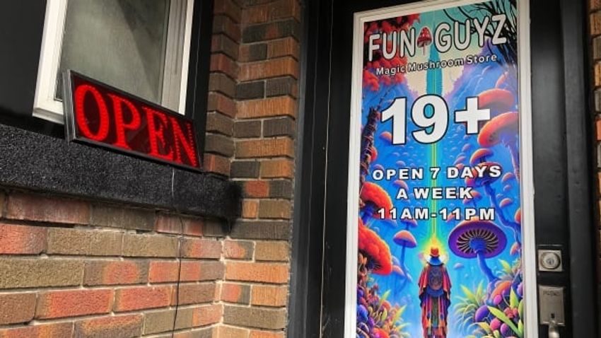  ‘We give up’: Illegal magic mushroom chain FunGuyz closes all 30 Canadian locations