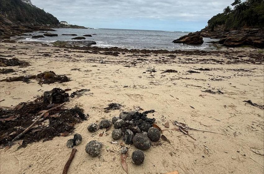  Blobs That Closed Sydney Beaches Contain Human Waste, Marijuana, and Methamphetamine, Scientists Say