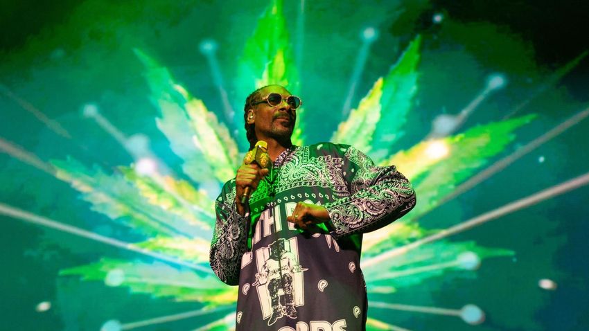  Snoop Dogg Opens Online Cannabis Shop Shipping Direct To US Consumers