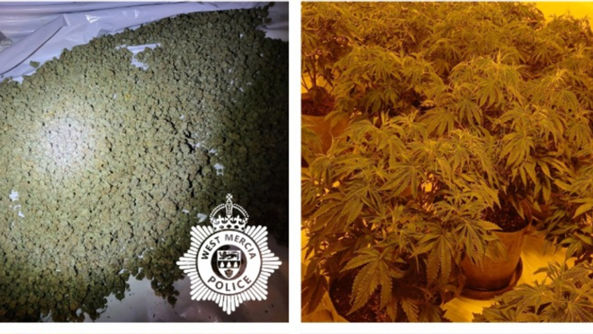  Man arrested as cannabis farm uncovered at house