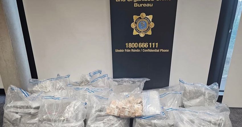  Two men arrested as €2.14 million worth of suspected illegal cannabis seized