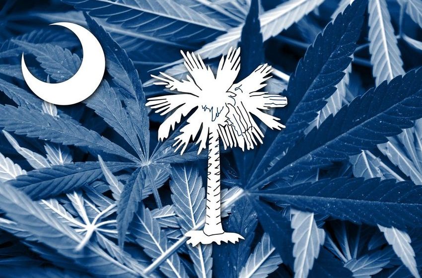  South Carolina Lawmaker Files Medical Cannabis Legalization Bill