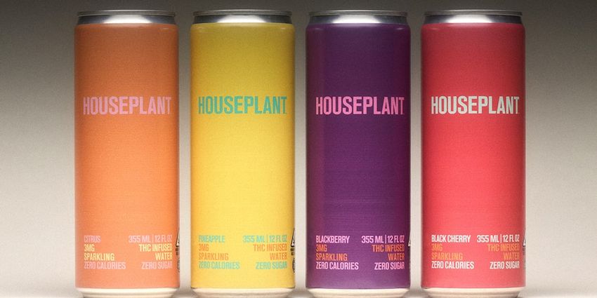  Seth Rogen’s Houseplant Launches THC-Infused Sparkling Waters