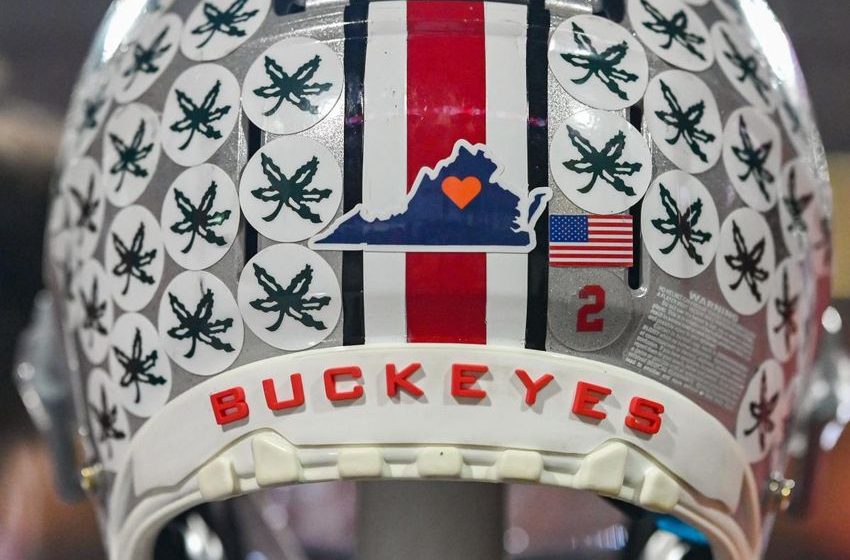  Why does Ohio State put buckeyes on their helmet? And what do the leaves mean?