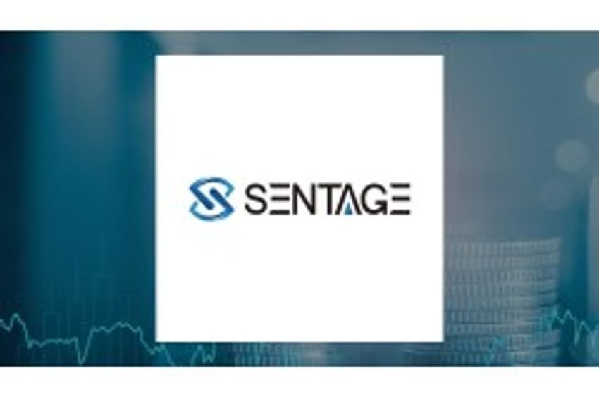  Sentage (NASDAQ:SNTG) vs. SHF (NASDAQ:SHFS) Head-To-Head Comparison