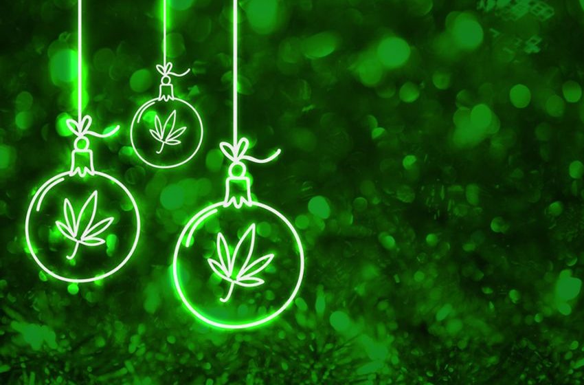  Check Out Our 2024 Holiday Season Cannabis Gift Guide