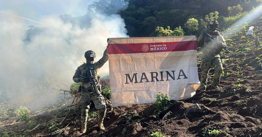  Secretariat Of Mexican Navy destroys in Nayarit 15 marijuana plantations