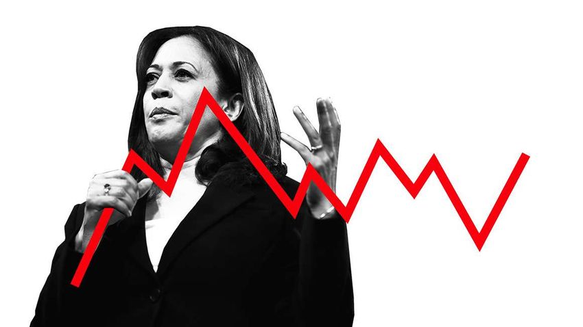  Why the Race and Gender Politics of White Dudes for Harris Failed