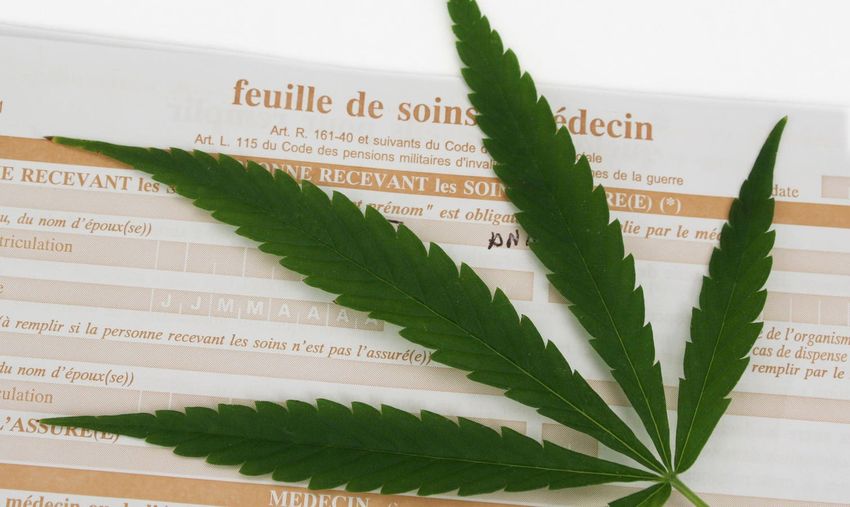  France Gives Medical Cannabis A Tentative ‘Oui’