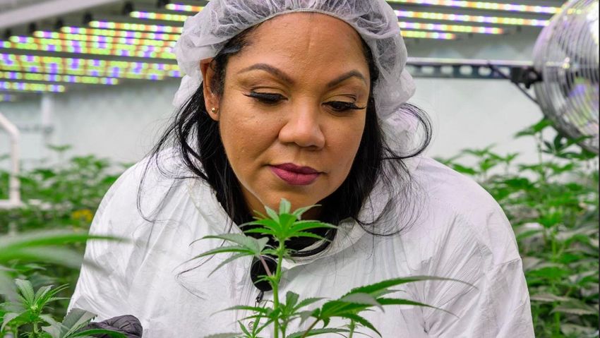  How Queen Zulu, Dr. Macias, Lost Her Home, Then Built A Cannabis Empire And Inspired Brittney Griner