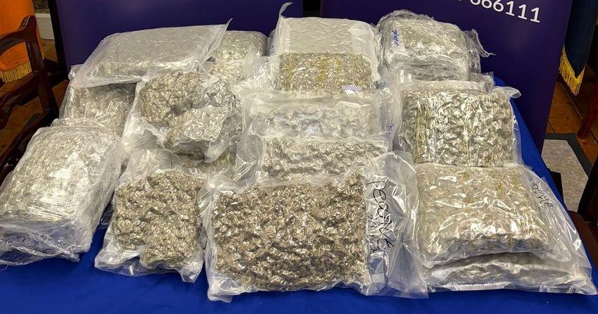  Man arrested in Dublin after Gardaí seize drugs worth €400,000