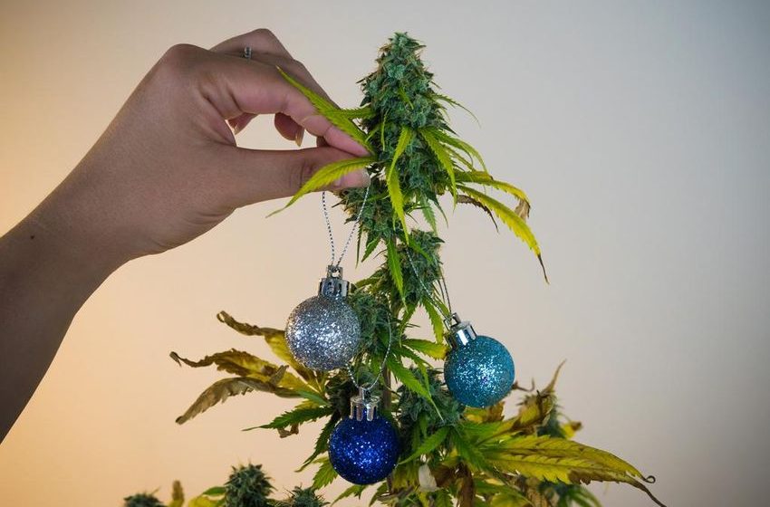  Legalized marijuana means strange, new gifts for the stoner who has everything