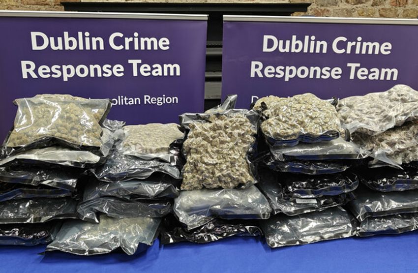  Man arrested after €300,000 worth of cannabis seized during Dublin search