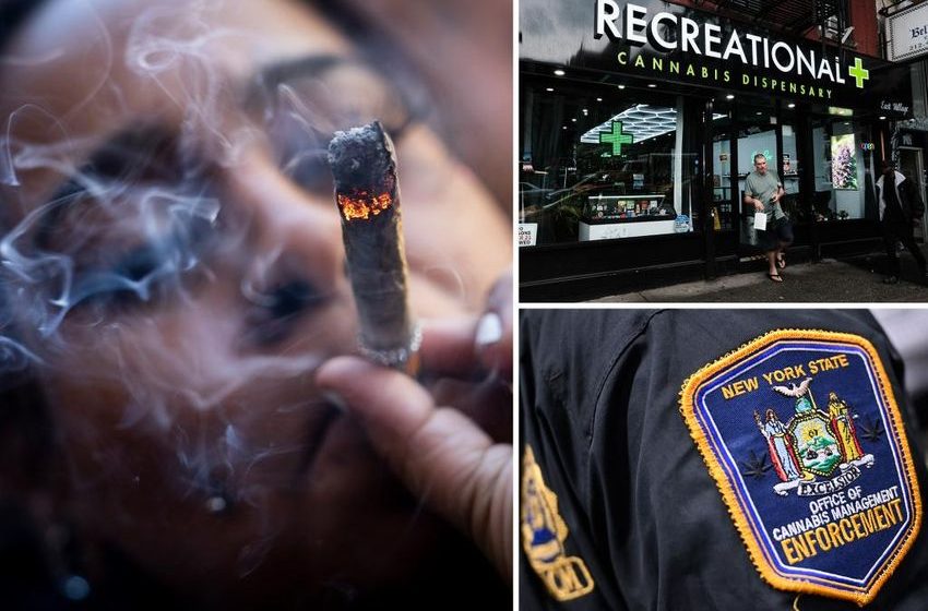  Growing like a weed: Legal cannabis shops in NY will soar to sky-high 625 in 2025, regulators say