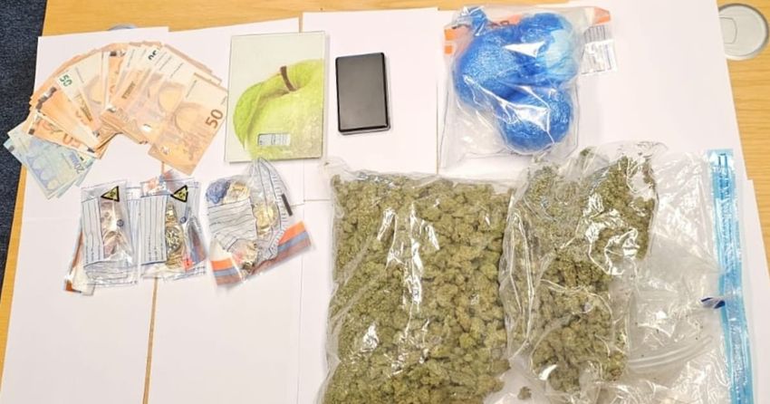  Gardaí seize €120,000 worth of drugs in Co Wicklow and arrest man (40s)