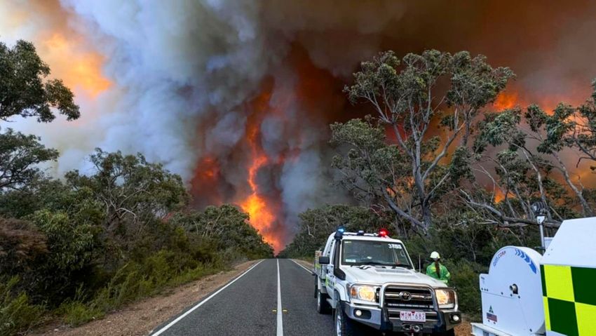  Police bust cannabis operation as trucks flee Victorian bushfires in the Grampians on Christmas Eve