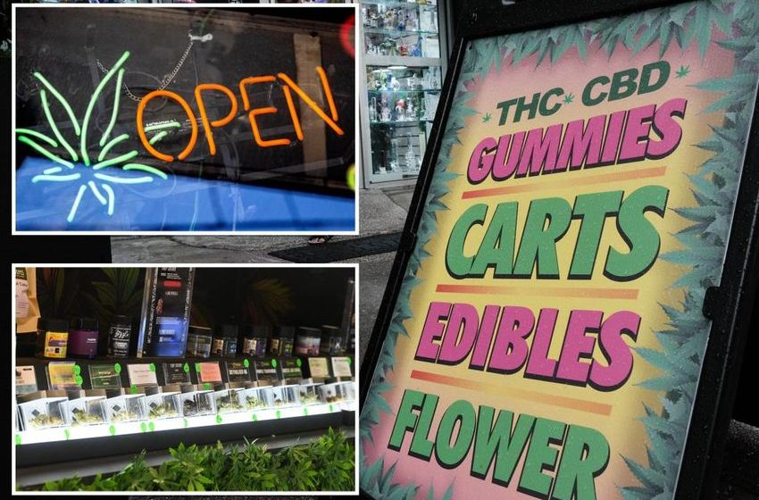  Licensed NYC pot shops sue state in turf war over competition: ‘Rug … pulled out from under us’