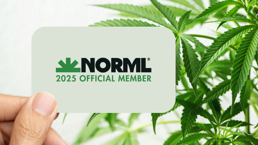  Join NORML for 2025 and Stand for Cannabis Freedom