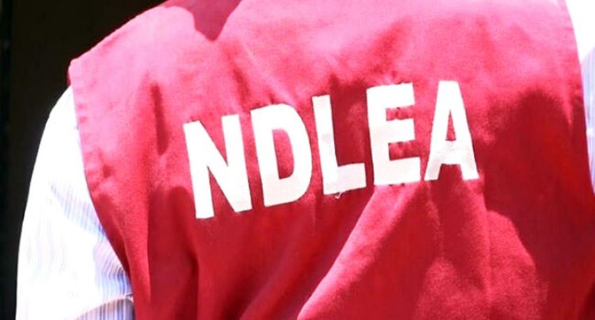  NDLEA intercepts cannabis hidden in Duvet at Lagos airport