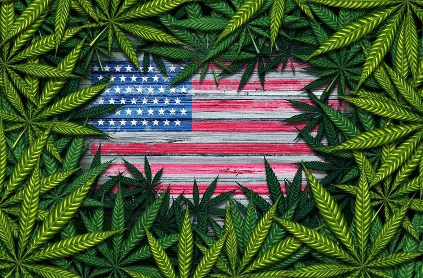  Where Is Cannabis Legal? A Guide To All 50 States