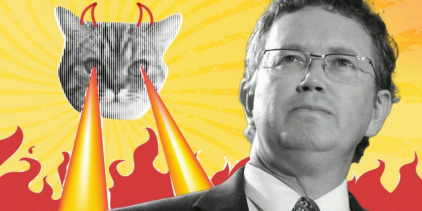  Catturd, Thomas Massie feud erupts over paid influence allegations