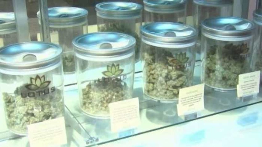  Could revised recreational pot proposal be on 2026 Florida ballot?