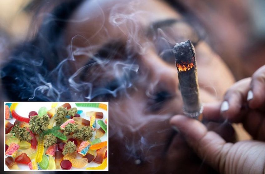  Guide to getting high: Researchers propose cannabis index to help budding stoners