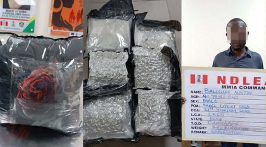  NDLEA intercepts UK-bound cannabis hidden in duvet at Lagos airport, arrests two