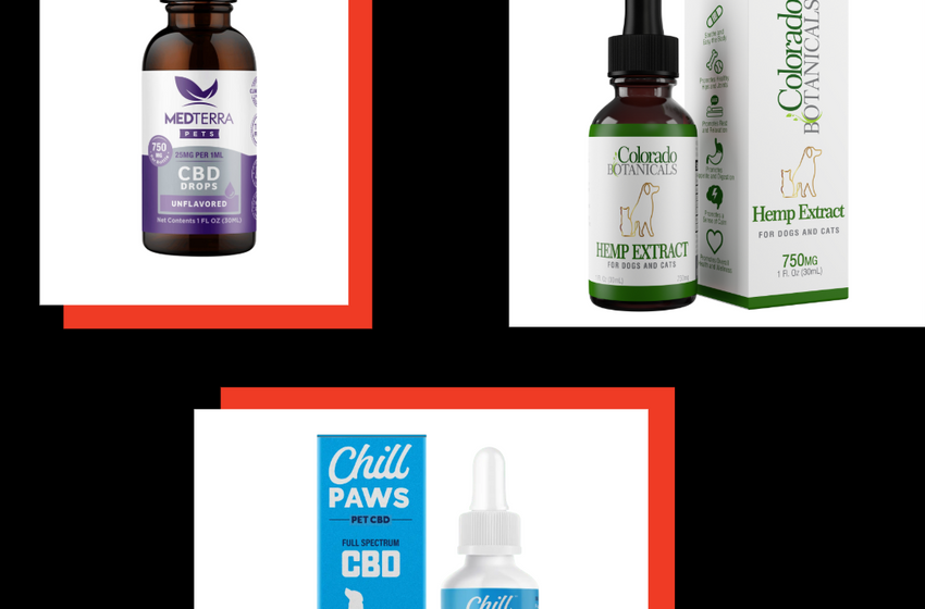  The Best CBD Oil for Dogs