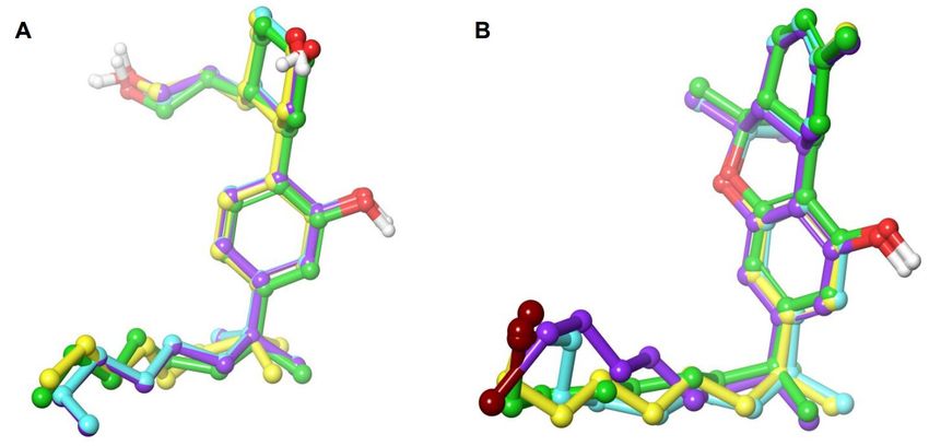  Study explores compound’s potential to enhance THC for pain treatment