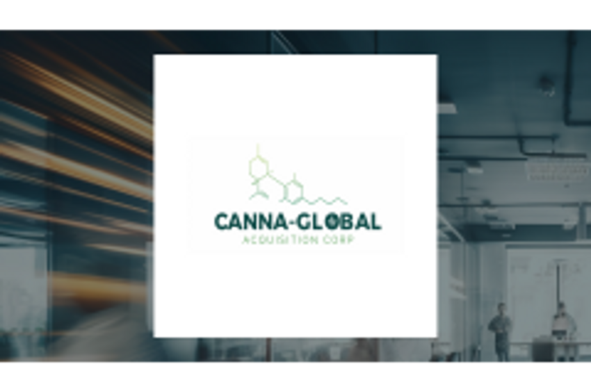  Canna-Global Acquisition (NASDAQ:CNGL) versus Brand Engagement Network (NASDAQ:BNAI) Financial Survey