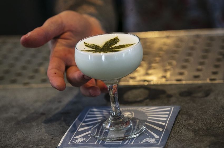  Cannabis Cocktails Are on the Rise. Could They Replace Alcohol?