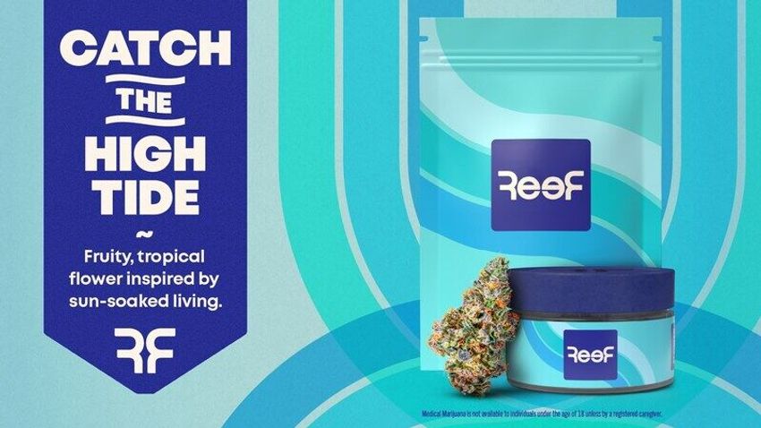  Coastal-Inspired Cannabis Brands – Curaleaf Debuts the Reef Flower Brand in Florida (TrendHunter.com)